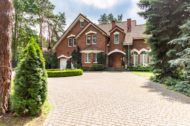 Best Driveway Pavers Near Me  in Homeland Park, SC