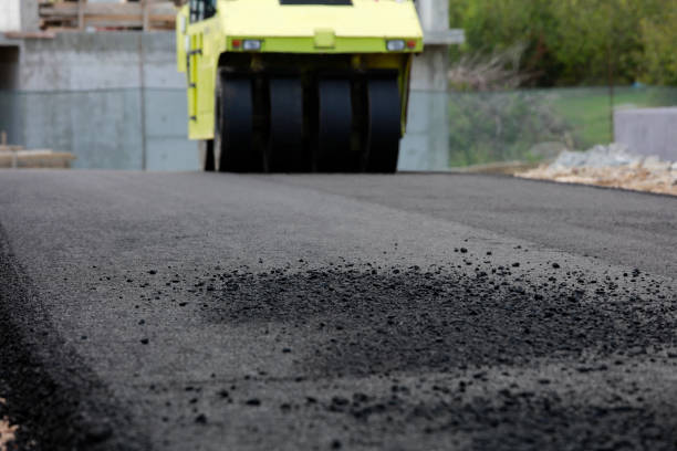 Best Local Driveway Pavers  in Homeland Park, SC
