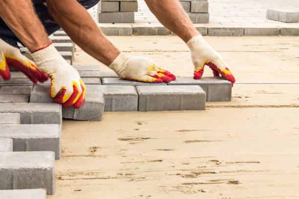 Best Driveway Paving Contractor  in Homeland Park, SC