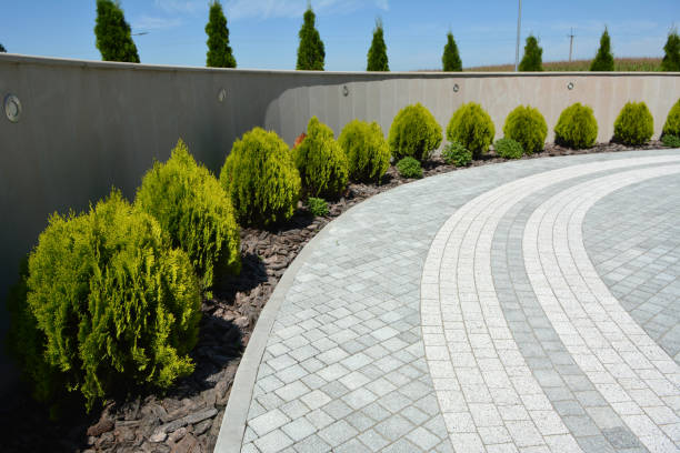 Best Permeable Paver Driveway  in Homeland Park, SC